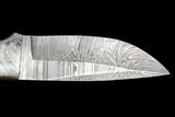 Damascus Knife With Fossil Dinosaur Bone (Gembone) Inlays #125249-6